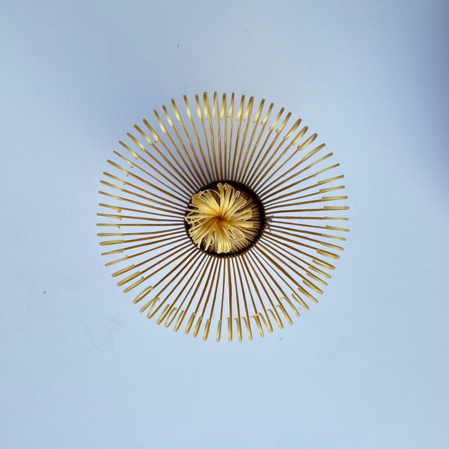 Banboo Matcha Whisk/Chasen